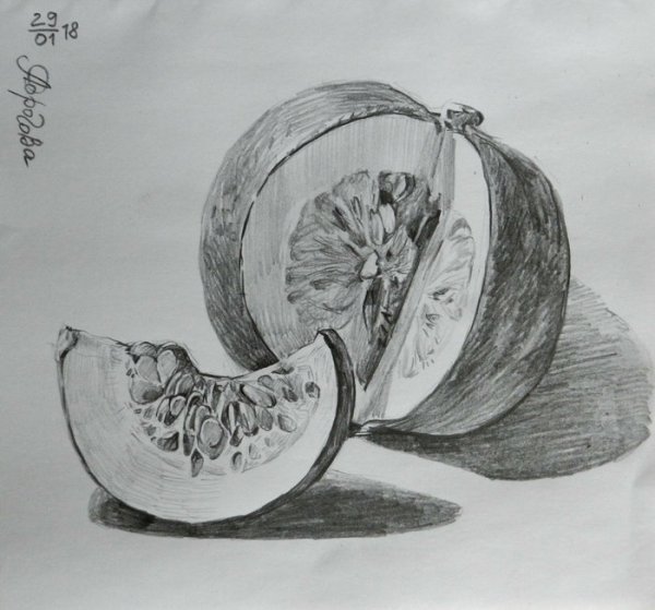 Тыква простым карандашом