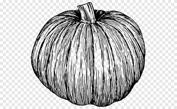 Тыква черно белая