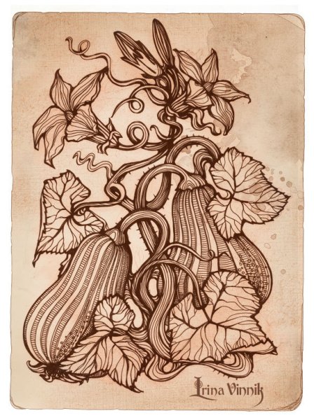 Винник Ирина иллюстратор