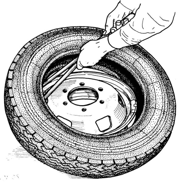 Векторное изображение шины