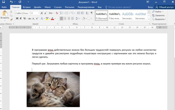 Как переместить картинку в Ворде