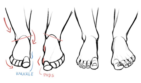 Пальцы ног референс