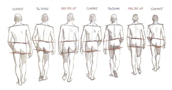 Референс ходьбы человека сзади