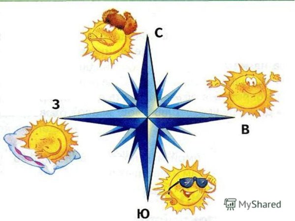 Стороны горизонта