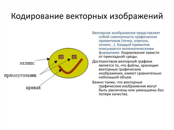 Векторное кодирование примеры