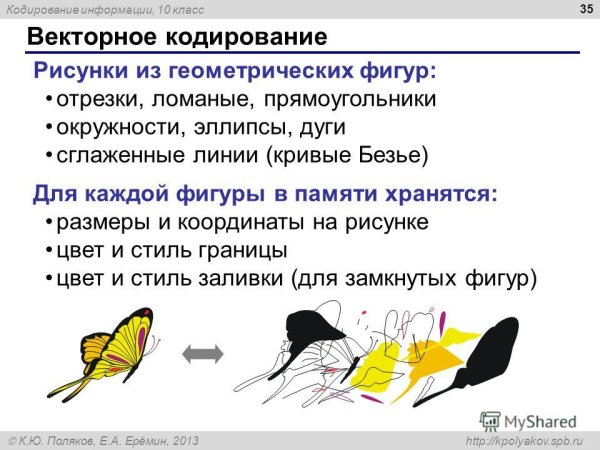 Векторный метод кодирования графических изображений