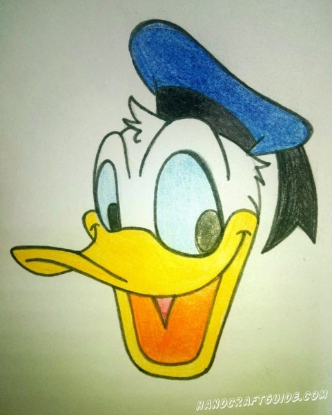 Дональд дак портрет