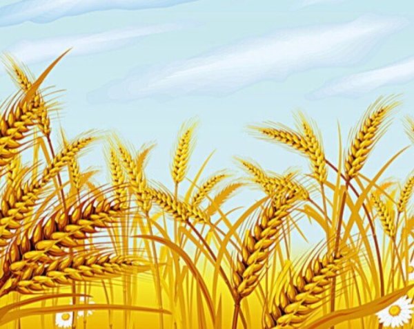 Хлебобулочные изделия вектор