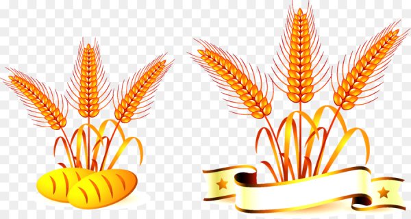 Колос для детей