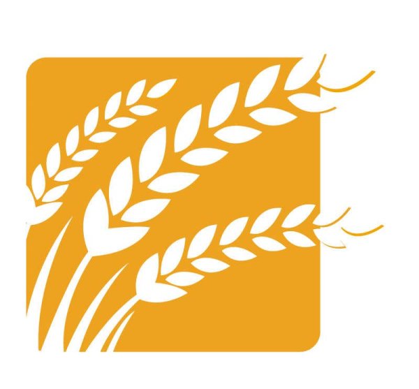 Колосья пшеницы