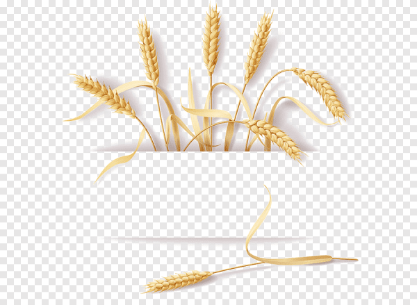 Печать с колосками