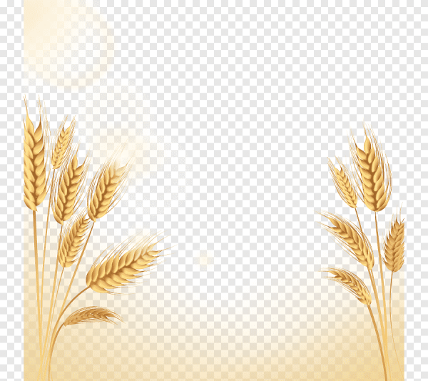 Стилизованные колоски