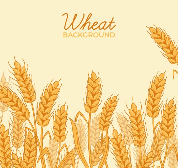 Паттерн колосья