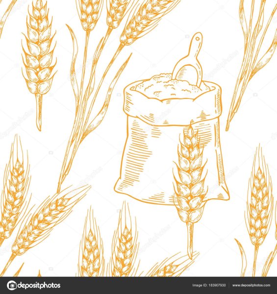 Колосок пшеницы