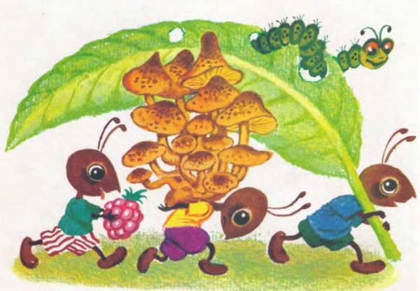 Про муравьев для детей