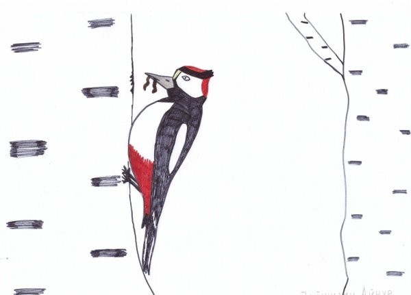 Санитар леса наклейка