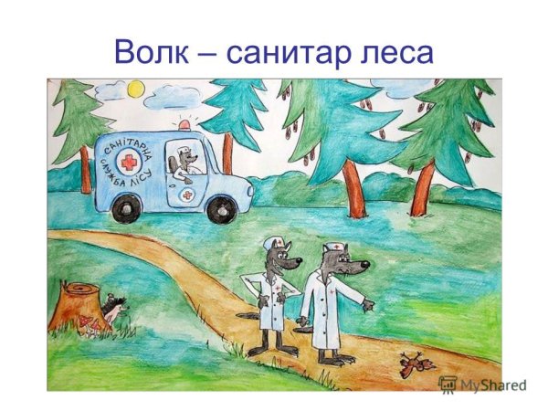 Санитары леса рисунок