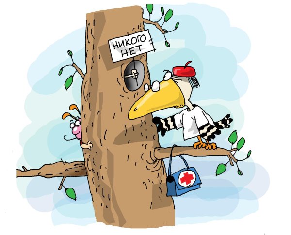 Доктор дятел