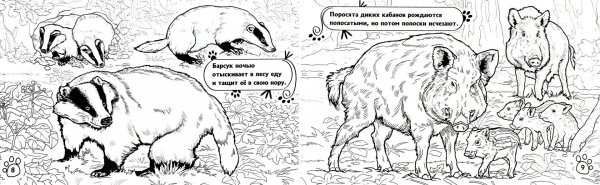 Раскраски санитары леса для детей