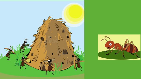 Рисунок на тему муравьи санитары леса