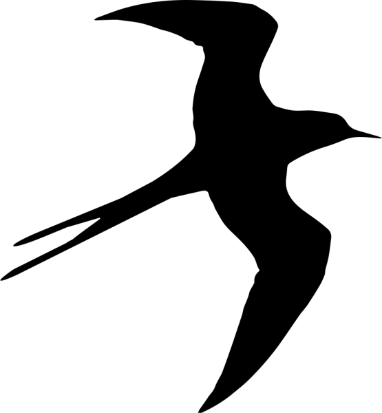 Силуэт птицы