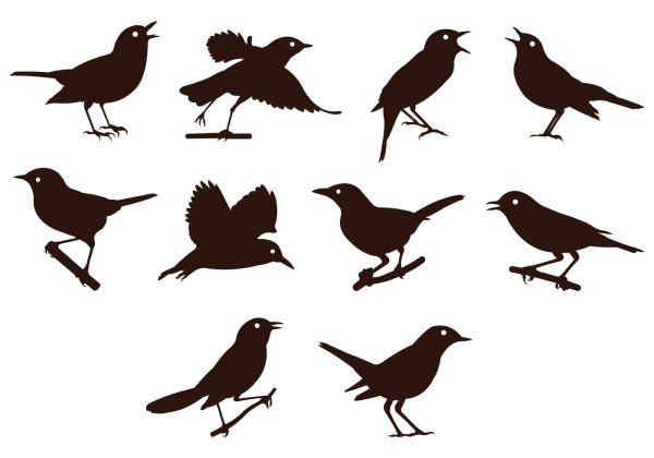 Птица сидит силуэт