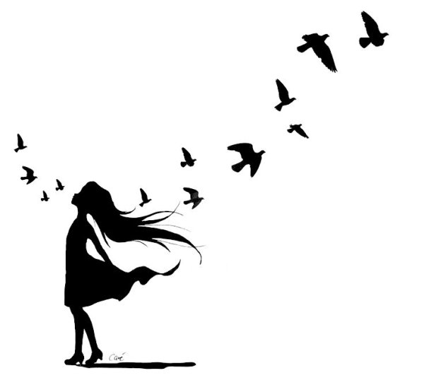 Красивые силуэты птиц