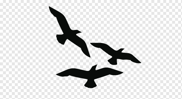 Силуэт Чайки