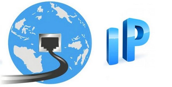 Волк рисунок