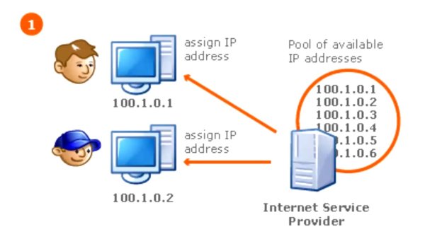 Феникс контурный рисунок