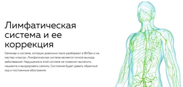 Лимфатическая система человека