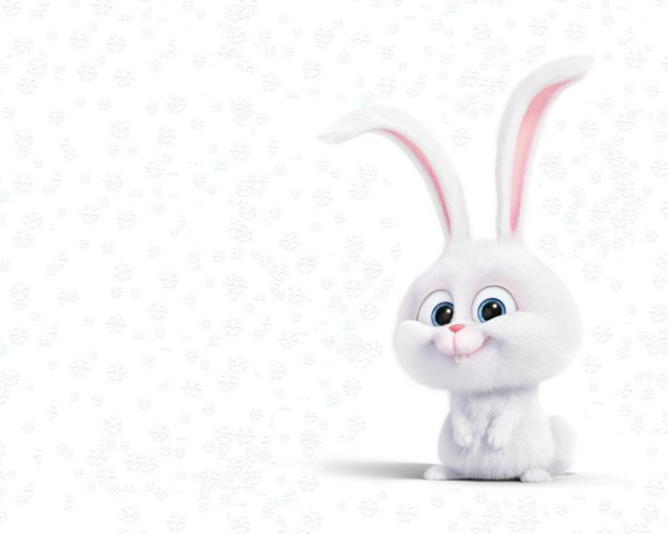 Белый зайчик на белом фоне