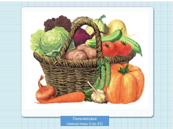 Овощи иллюстрация