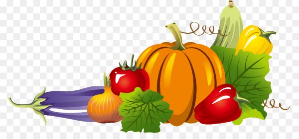 Овощи и тыква на прозрачном фоне