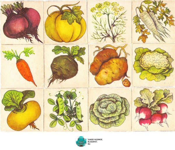 Лото «в мире растений»