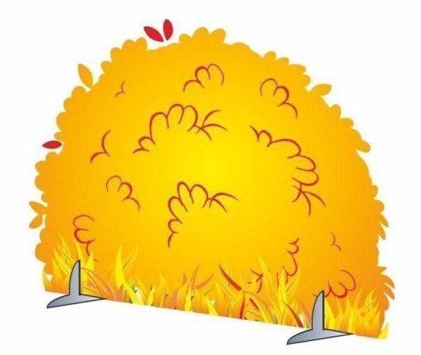 Осенний кустик