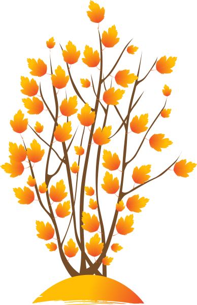 Осенние кусты на прозрачном фоне