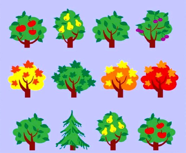 Деревья для дошкольников