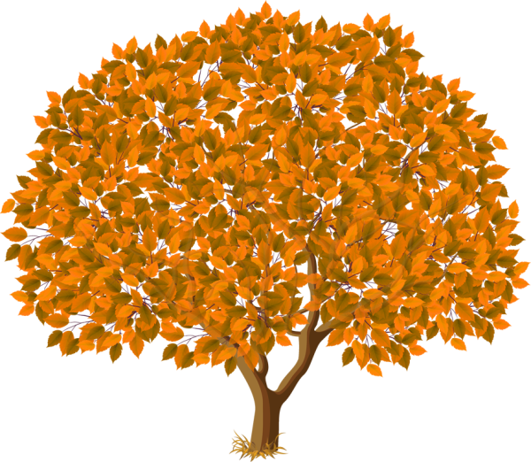 Осеннее дерево на прозрачном фоне