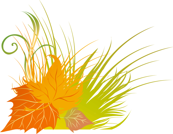 Осенняя трава на прозрачном фоне