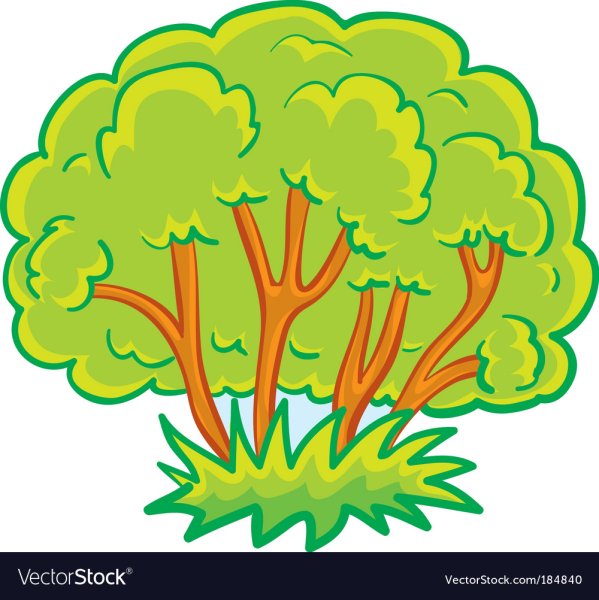 Куст мультяшный