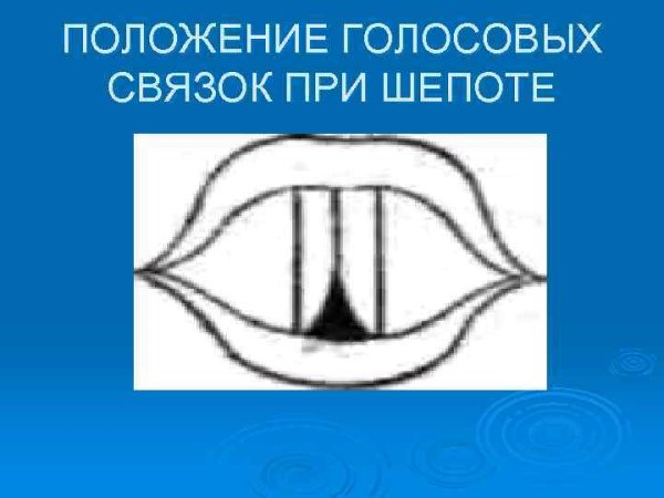 Положение положение голосовых связок