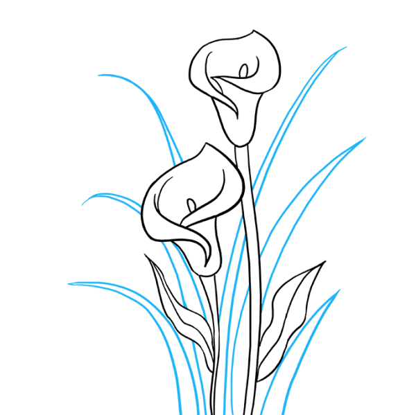 Калла силуэт