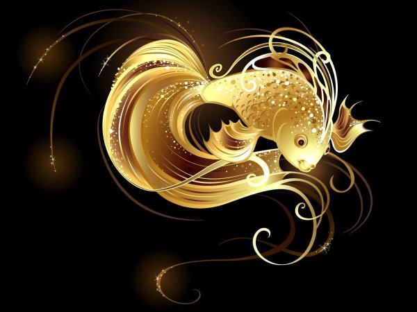 Надпись Золотая рыбка