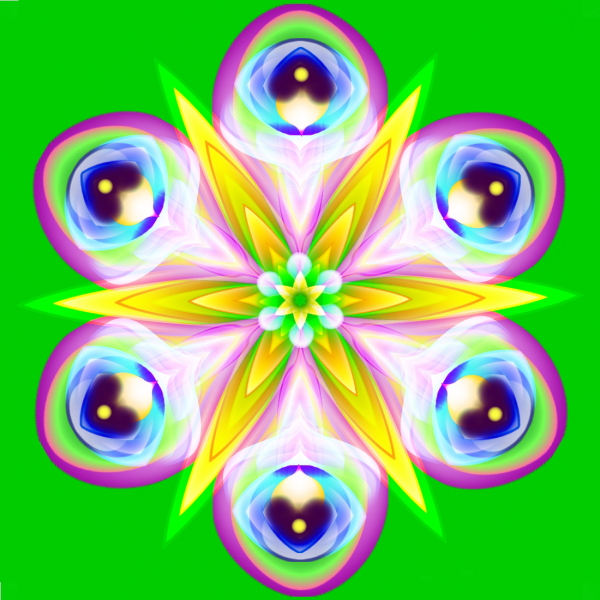 Магический цветок исполняющий желания