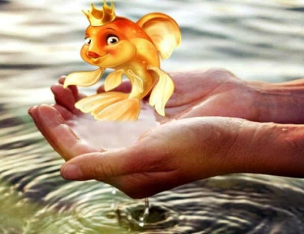 Золотая рыбка исполнение желаний