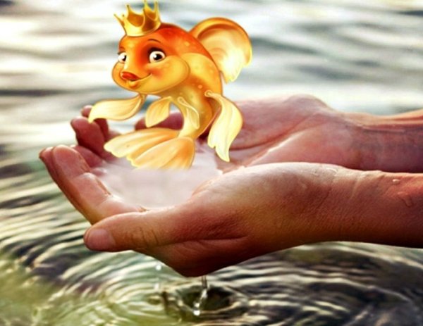 Золотая рыбка исполнение желаний