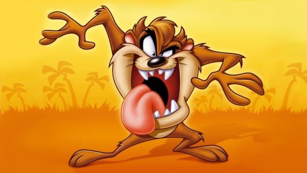 Тасманский дьявол мультик