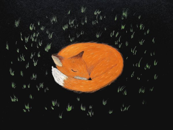 Лиса иллюстрация