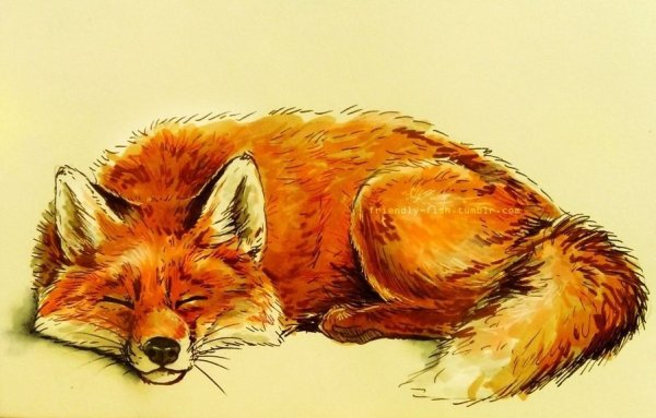 Спящий Лисенок эскиз